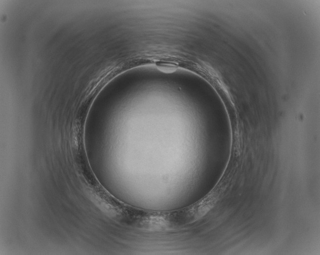 X0000083610114200702201300