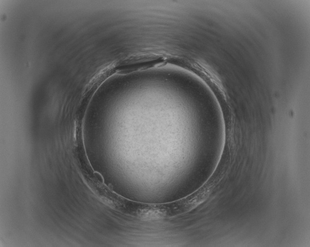 X0000083610115200702201300