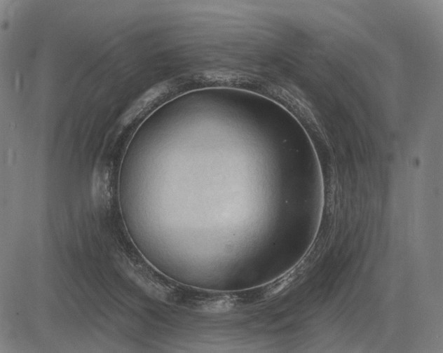 X0000083610116200702201300