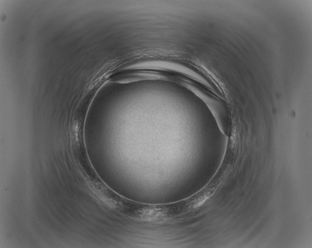 X0000083610117200702201300