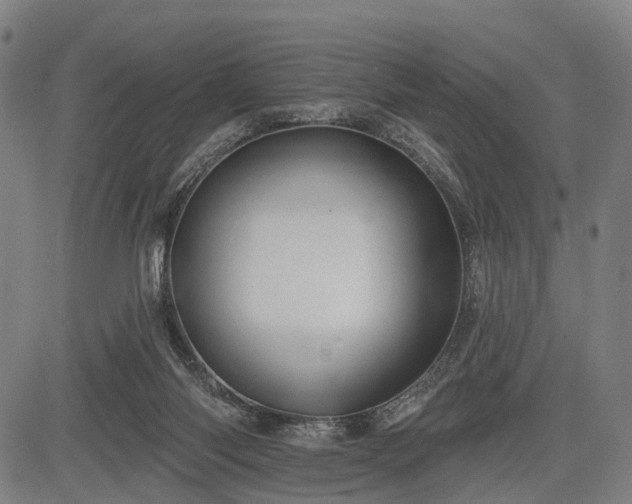 X0000083610118200702201300