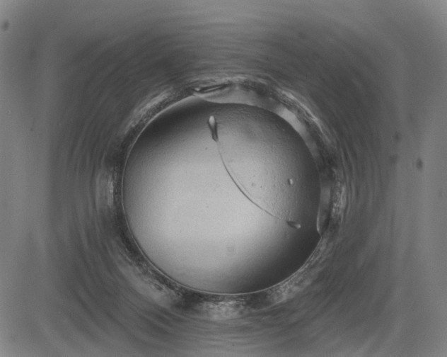 X0000083610120200702201300