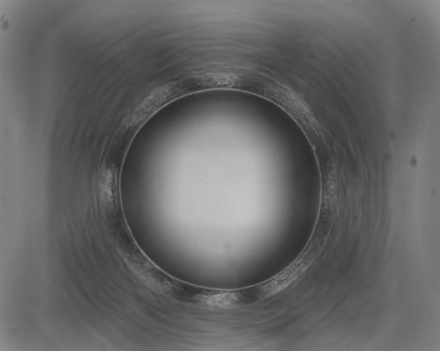 X0000083610122200702201300