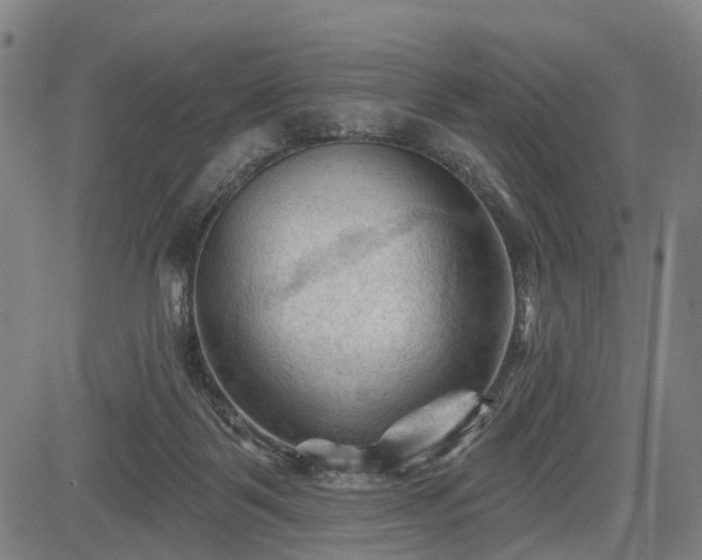 X0000083610123200702201300