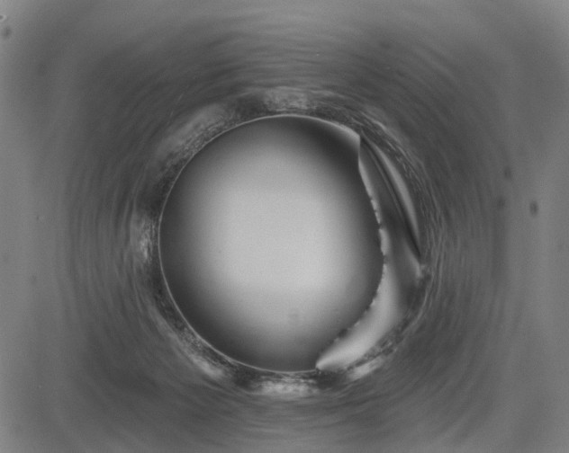 X0000083610125200702201300