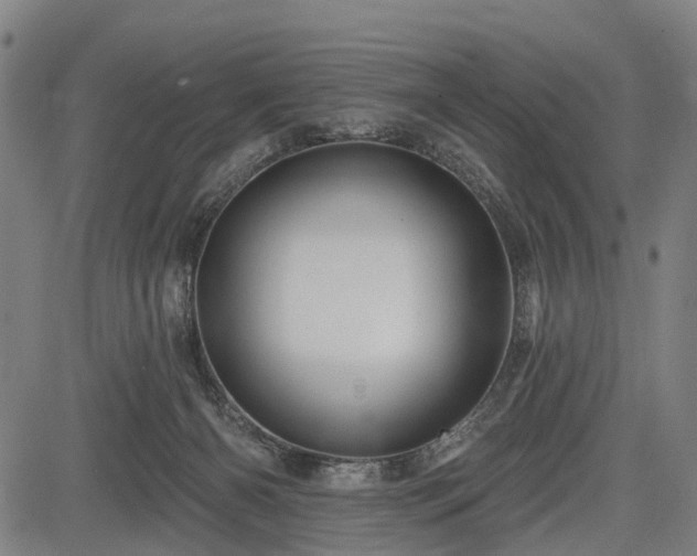 X0000083610126200702201300