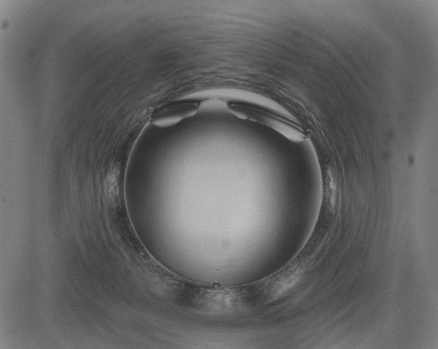 X0000083610127200702201300