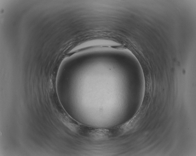 X0000083610128200702201300