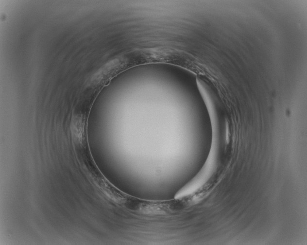 X0000083610129200702201300