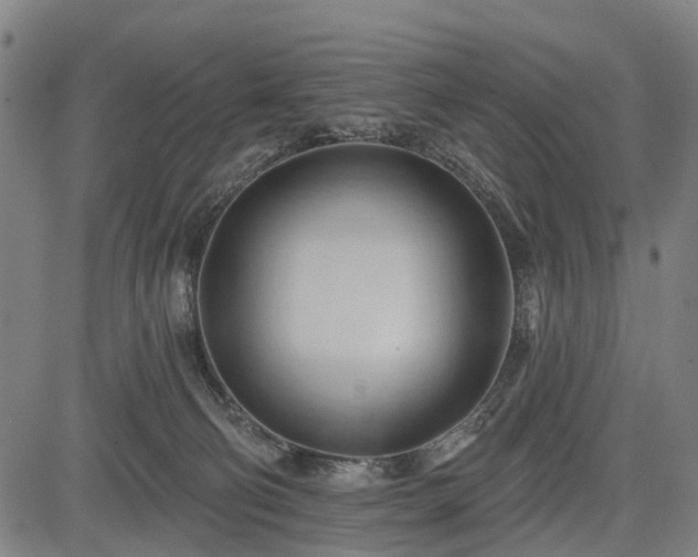 X0000083610130200702201300