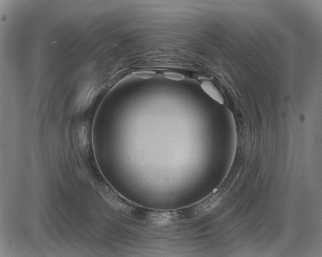 X0000083610131200702201300