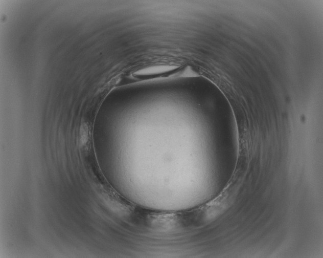 X0000083610132200702201300