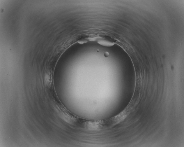 X0000083610134200702201300