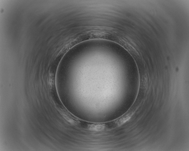 X0000083610135200702201300