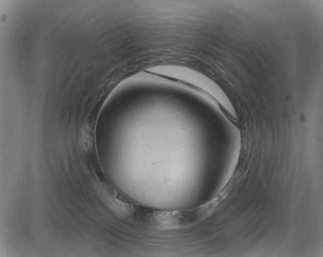 X0000083610136200702201300