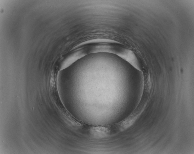 X0000083610137200702201300