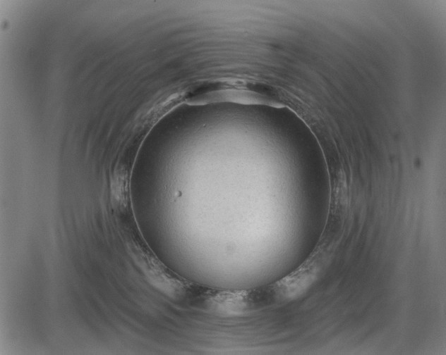 X0000083610138200702201300