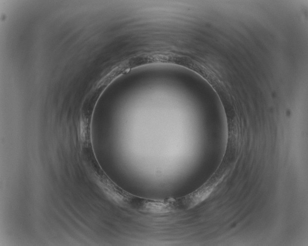 X0000083610139200702201300