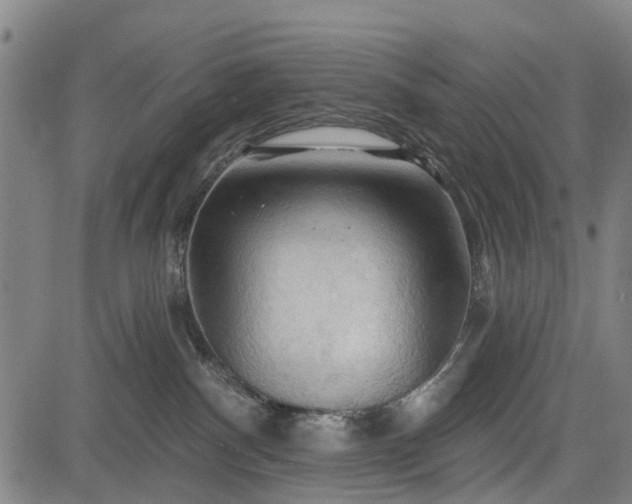 X0000083610140200702201300