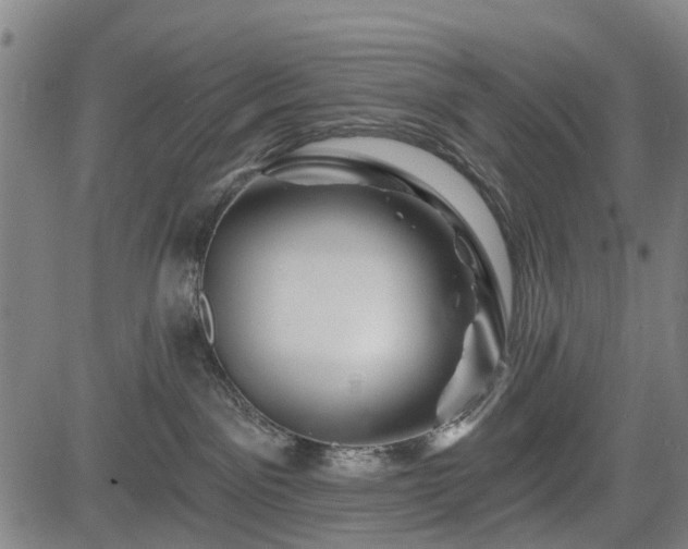 X0000083610141200702201300