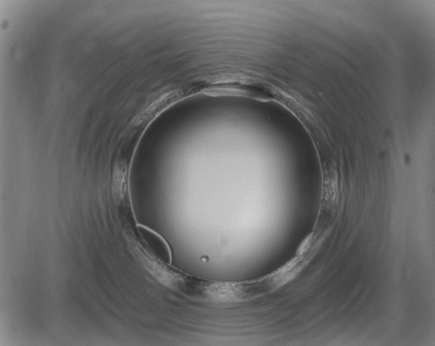 X0000083610142200702201300