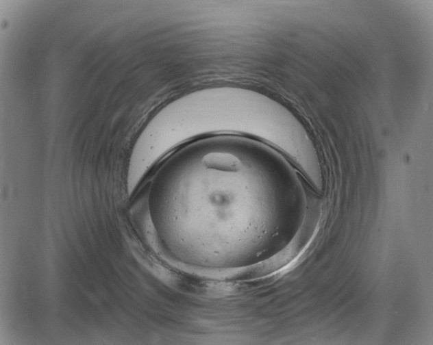 X0000083610144200702201259