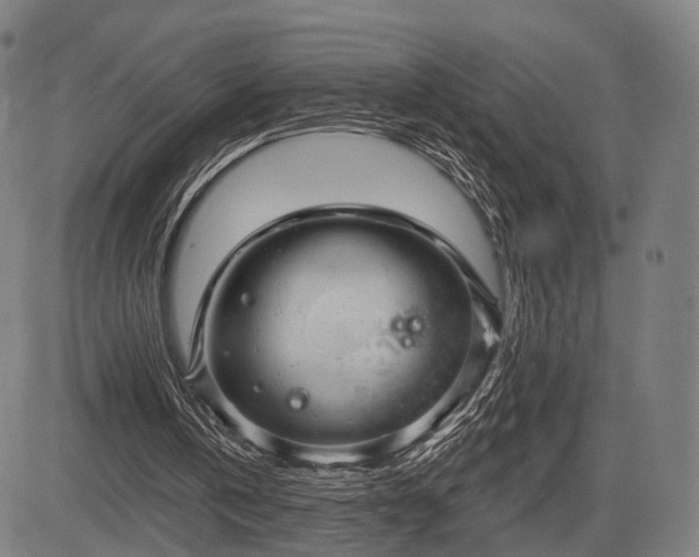 X0000083610146200702201259