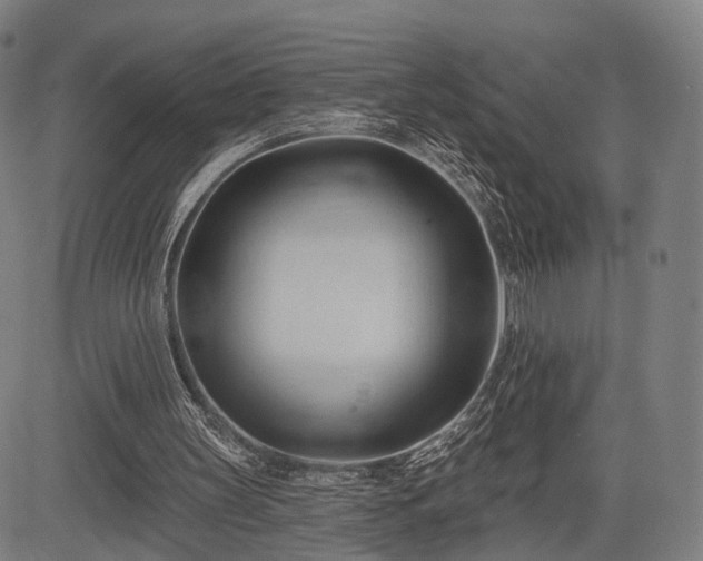 X0000083610147200702201259