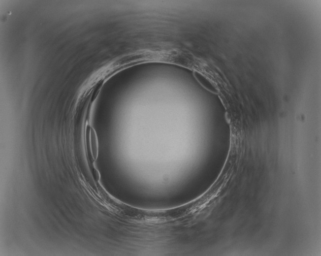 X0000083610149200702201259