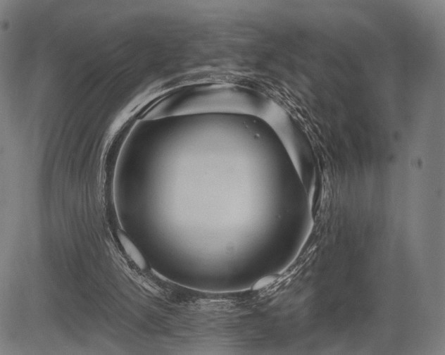 X0000083610150200702201259