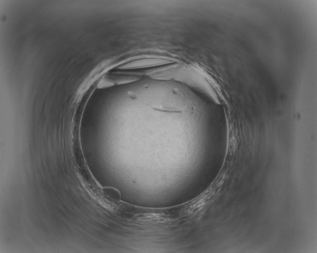 X0000083610151200702201259