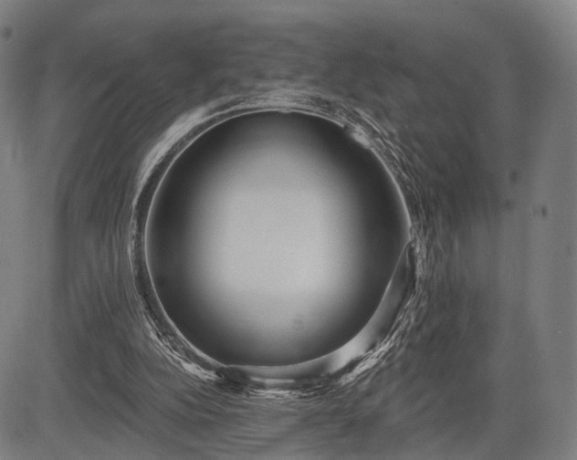 X0000083610152200702201259