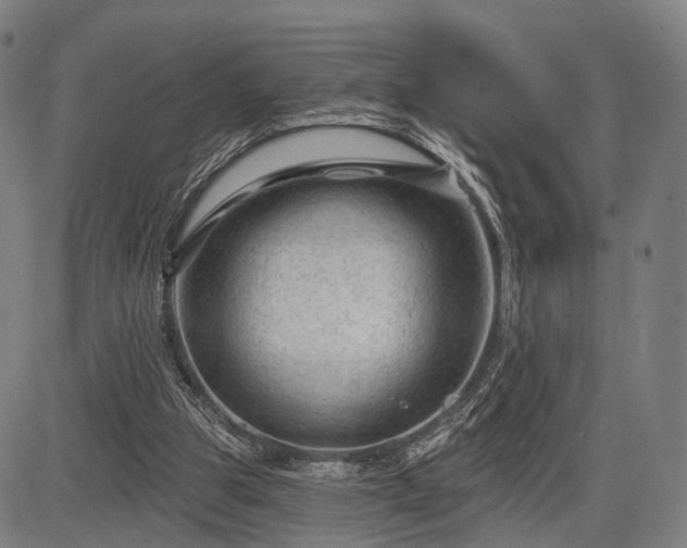 X0000083610153200702201259