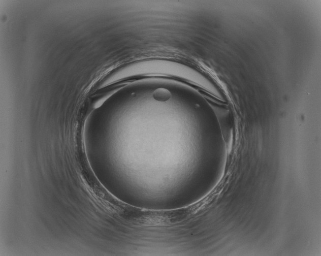 X0000083610154200702201259