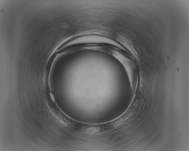 X0000083610156200702201259