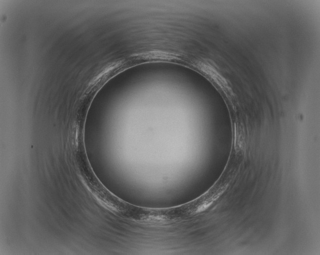 X0000083610157200702201259