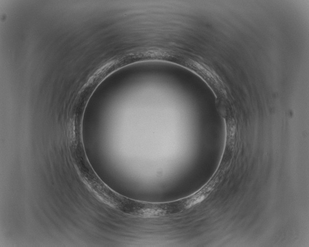 X0000083610158200702201259