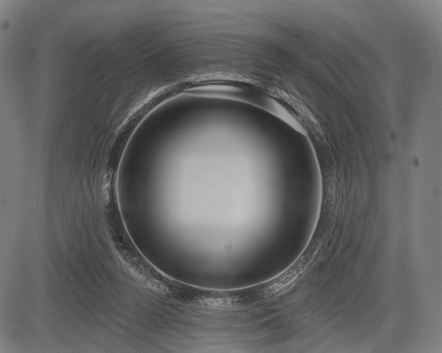 X0000083610160200702201259