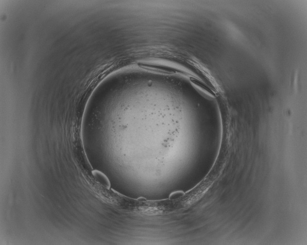 X0000083610161200702201259