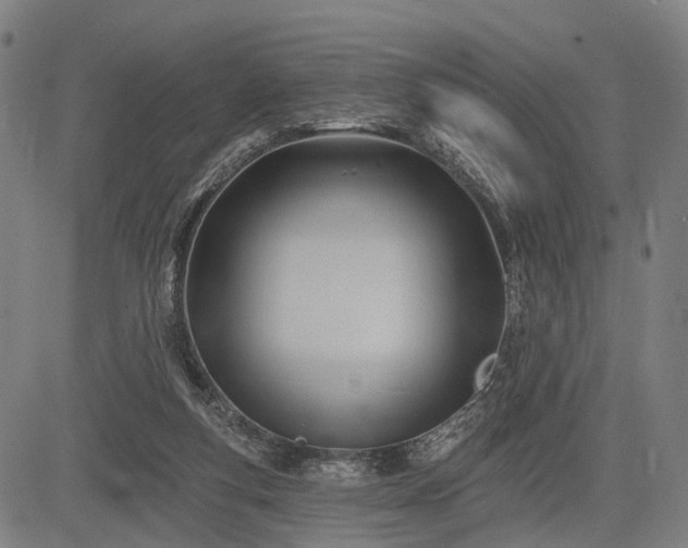 X0000083610163200702201259