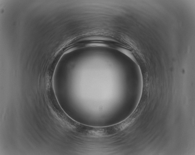 X0000083610164200702201259