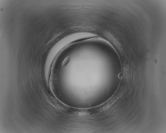 X0000083610165200702201259