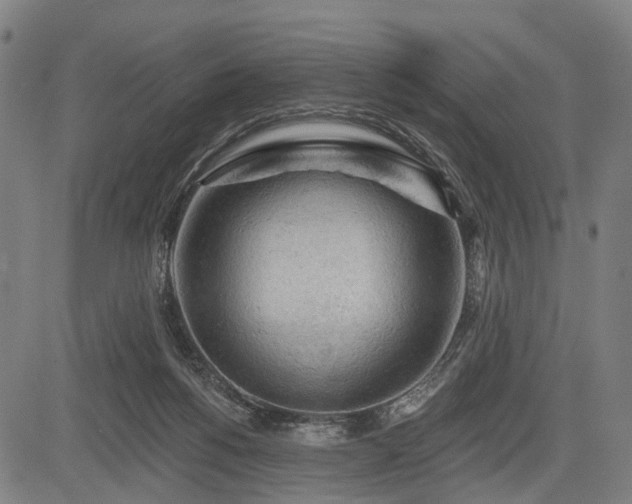 X0000083610168200702201259