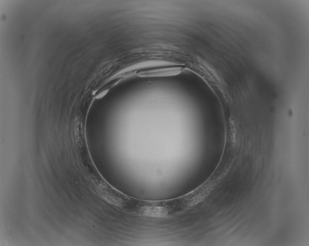 X0000083610169200702201259