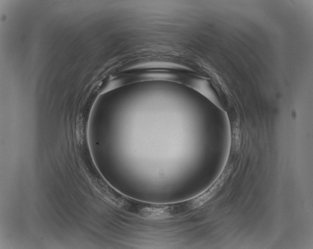 X0000083610170200702201259