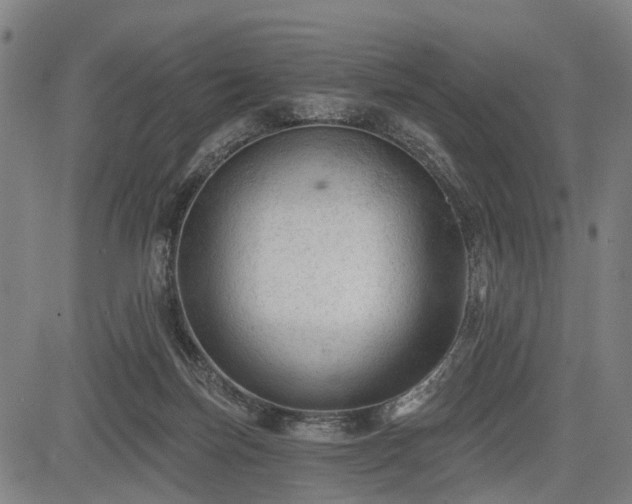 X0000083610171200702201259