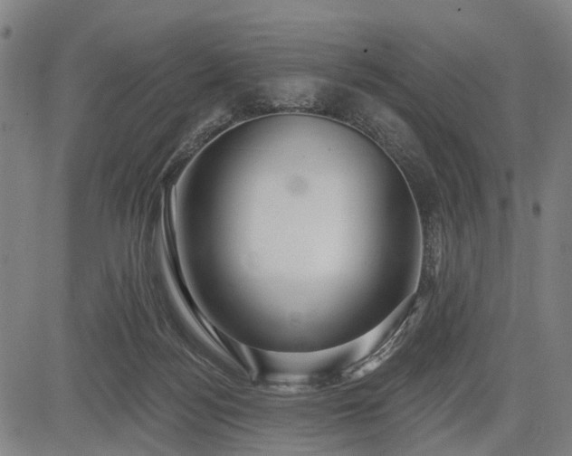 X0000083610172200702201259