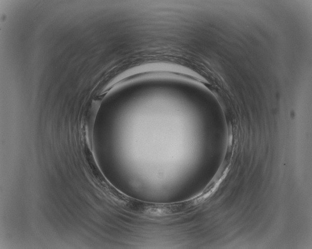 X0000083610174200702201259