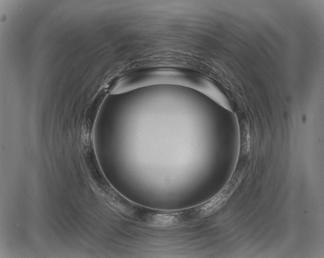 X0000083610176200702201259