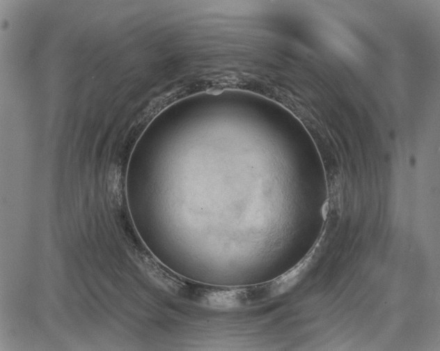 X0000083610178200702201259